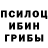 ГЕРОИН хмурый Horimo