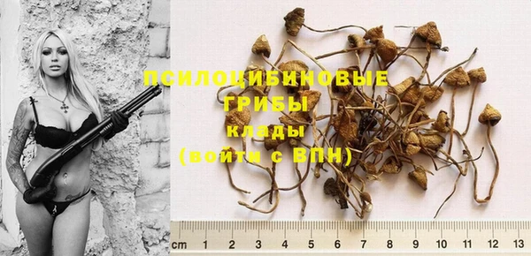 каннабис Козловка