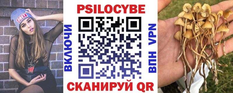 Псилоцибиновые грибы MAGIC MUSHROOMS  Купить где  Городовиковск 